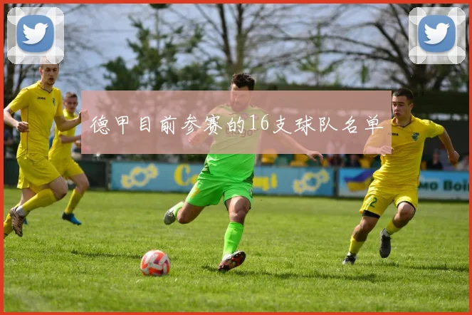 德甲目前参赛的16支球队名单