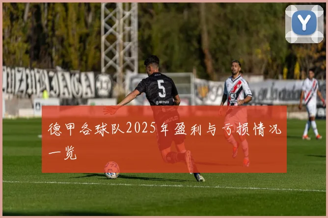 德甲各球队2025年盈利与亏损情况一览