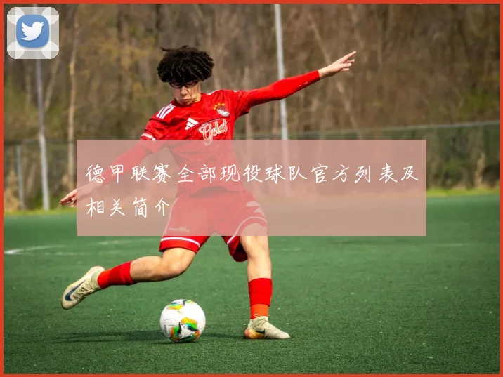 德甲联赛全部现役球队官方列表及相关简介